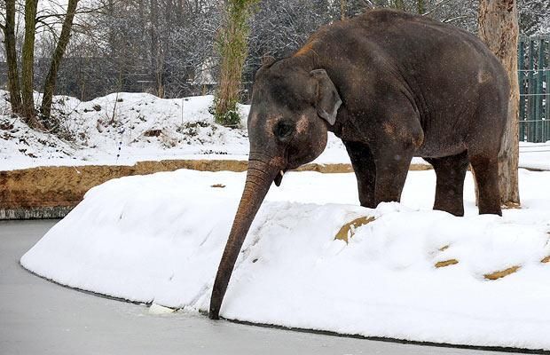 Funny picdump (125 pics)