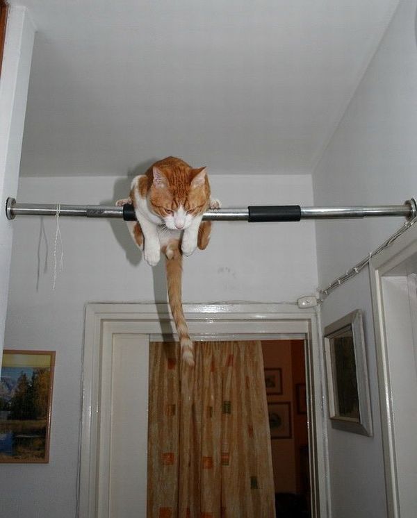 Funny picdump (125 pics)