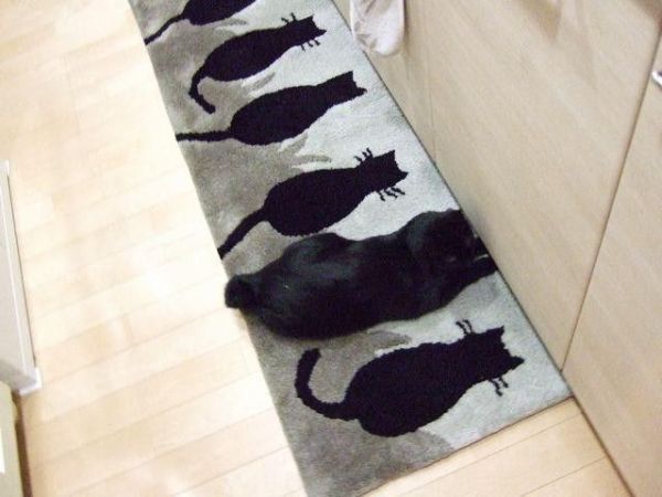 Funny picdump (125 pics)