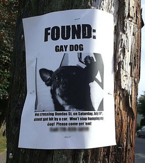Funny picdump (125 pics)