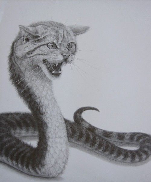 Funny picdump (125 pics)