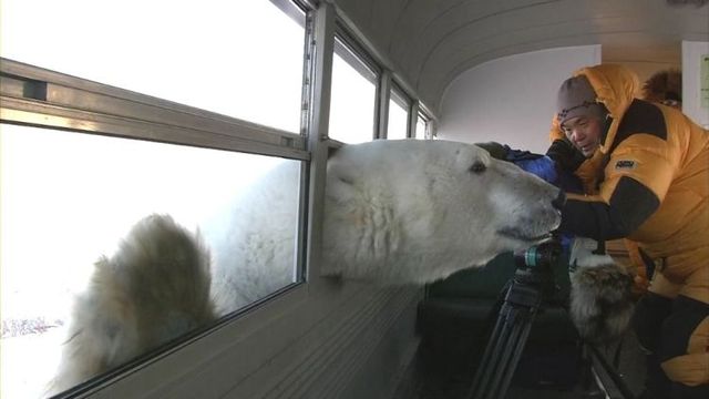 Funny picdump (154 pics)
