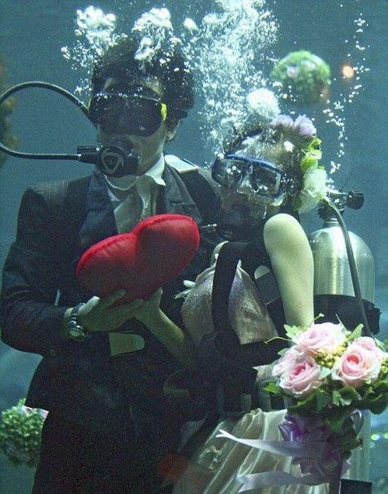Funny picdump (154 pics)
