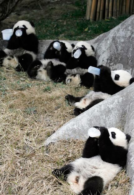 Funny picdump (154 pics)