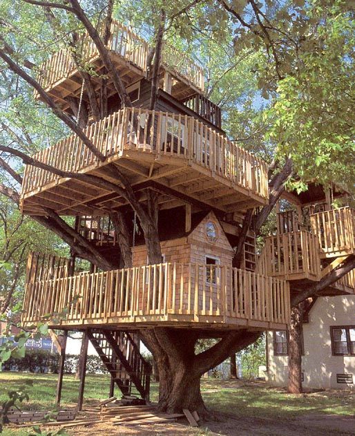 Tree houses [photos]