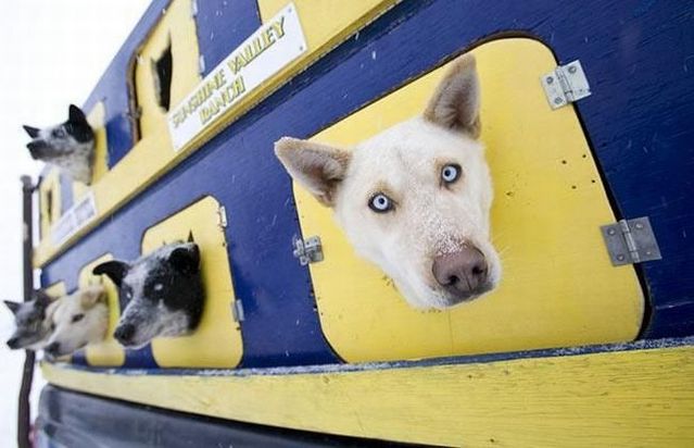 Funny picdump (116 pics)