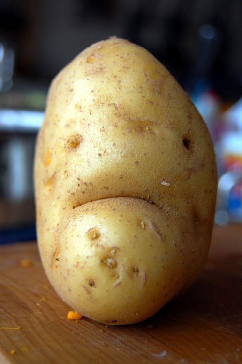 Funny picdump (116 pics)