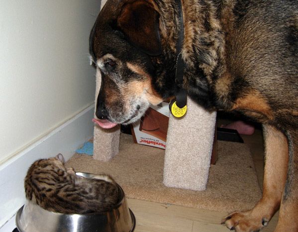 Funny picdump (115 pics)