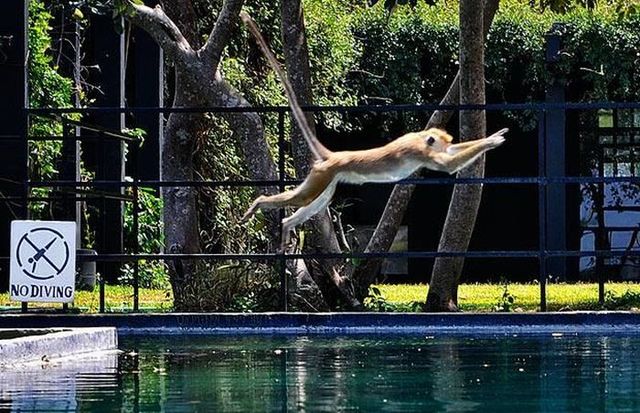 Funny picdump (133 pics)