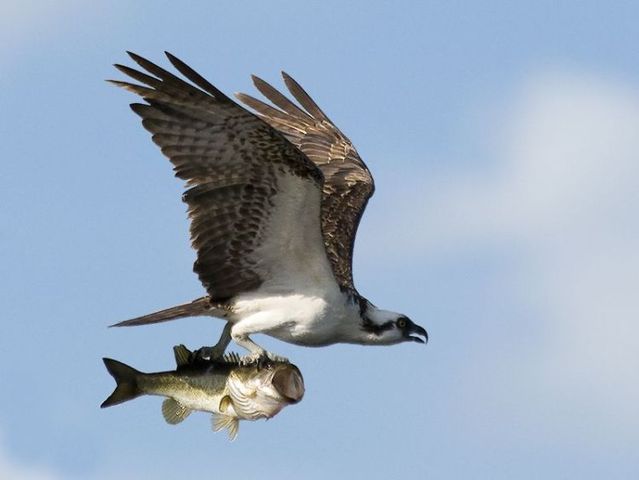 Funny picdump (133 pics)