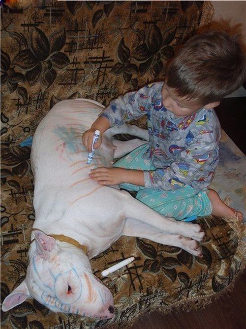 Funny picdump (133 pics)