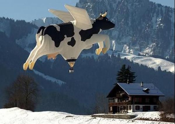Funny picdump (111 pics)