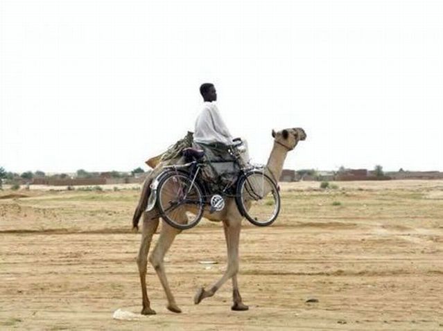Funny picdump (111 pics)