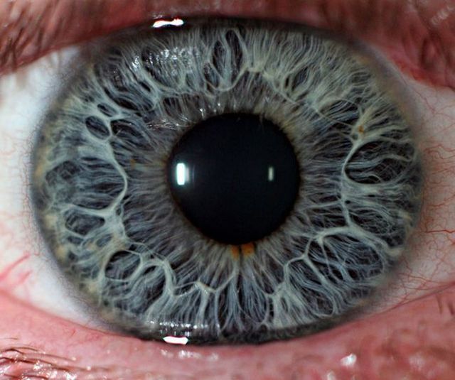 Amazing eye macros (23 pics) - Izismile.com