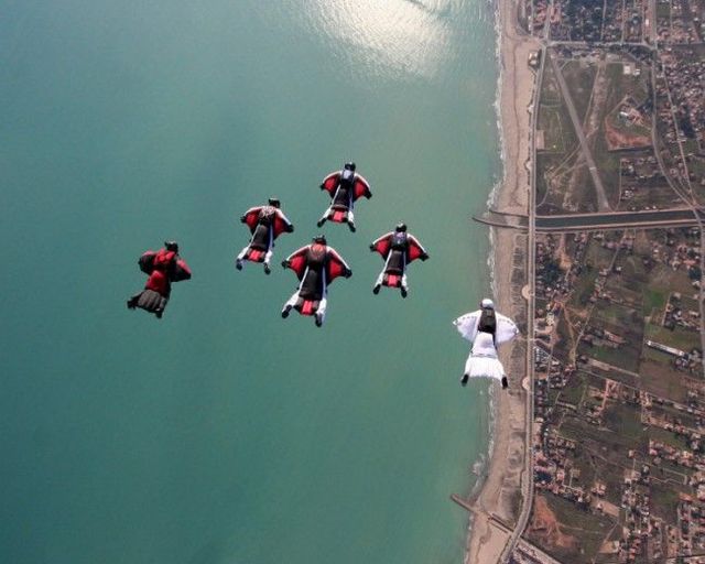 They know how to fly (6 pics + 1 video)
