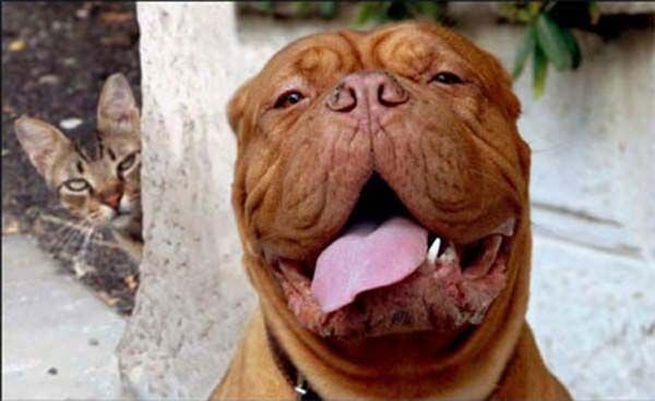 How to spoil a photo (103 pics)