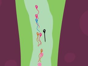The Great Sperm Race The Great Sperm Race