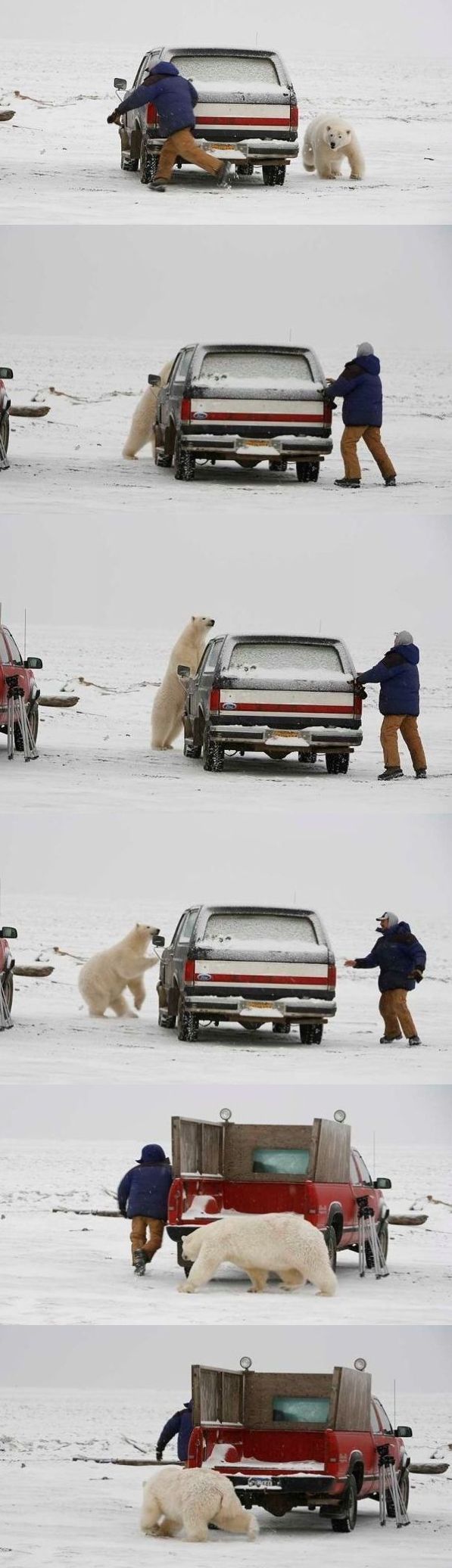 Daily picdump (83 pics)