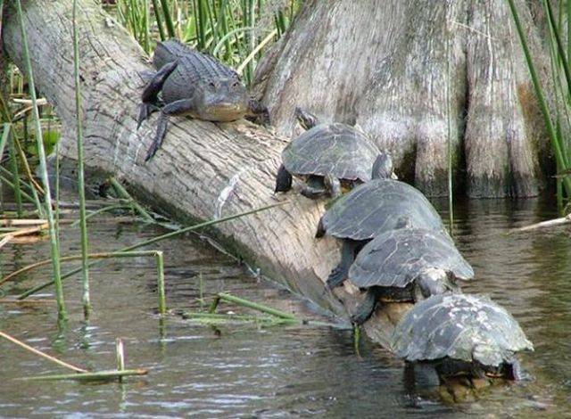 Daily picdump (83 pics)