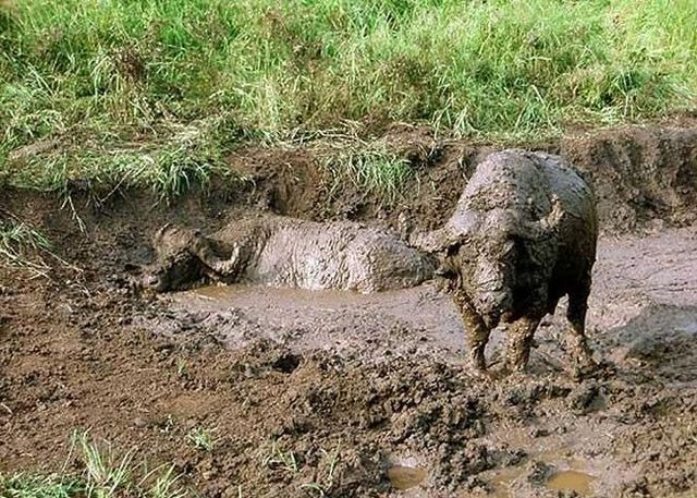 Daily picdump (83 pics)