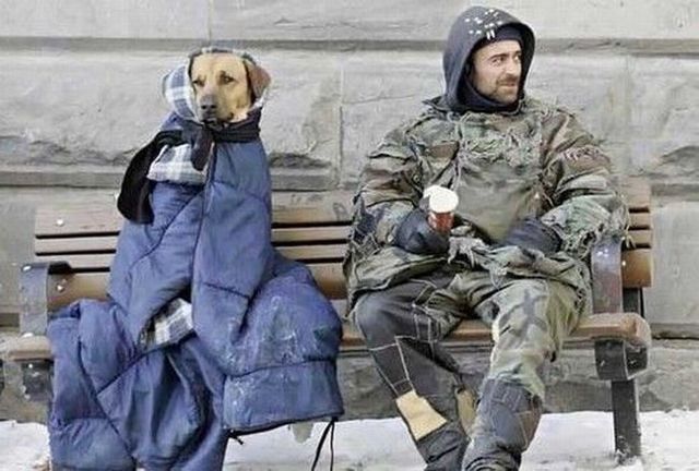 Daily picdump (83 pics)