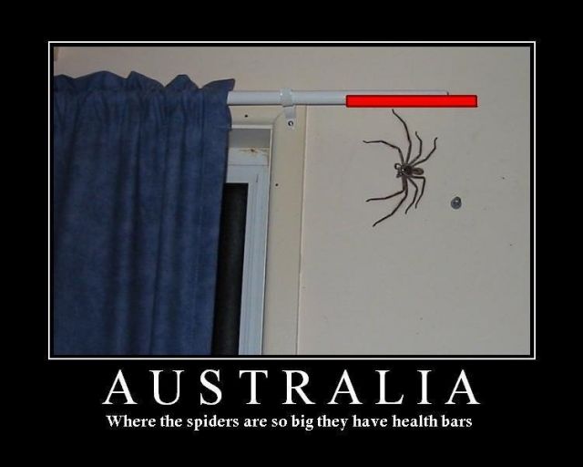 Daily picdump (83 pics)