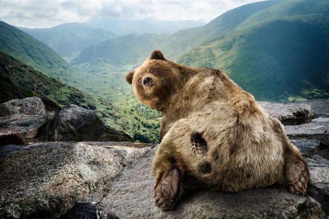Daily picdump (89 pics)