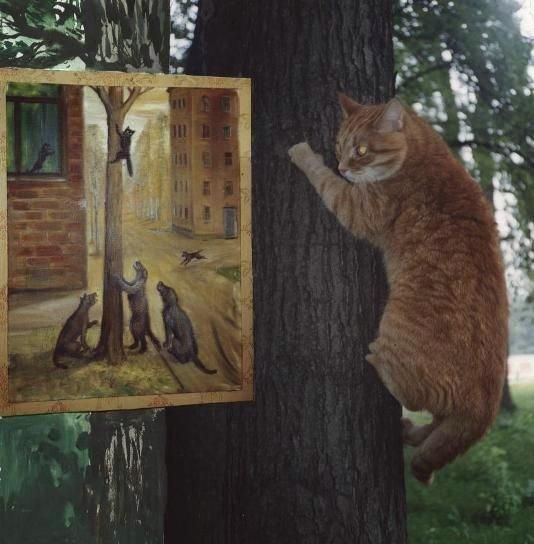 Daily picdump (89 pics)