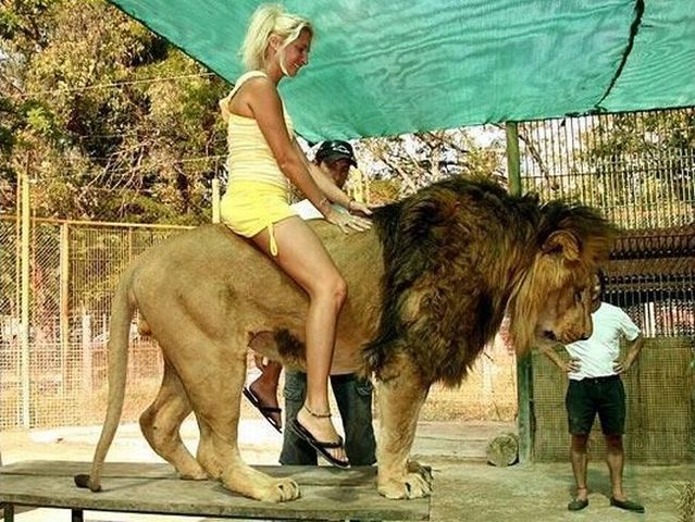 Daily picdump (89 pics)
