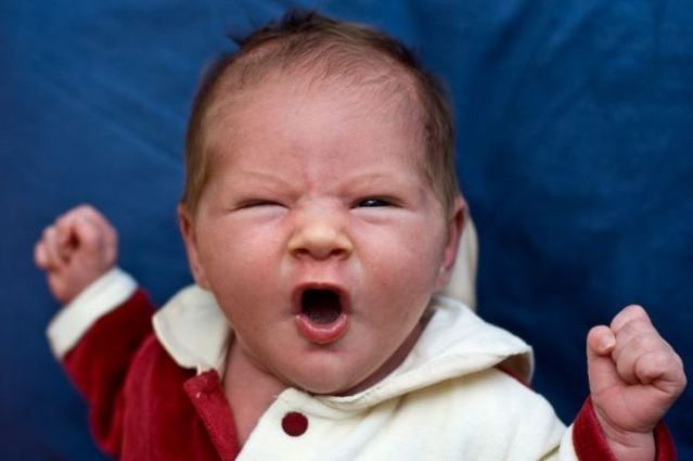 Why boys need parents (30 pics)