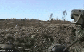 Collection of funny gif animations (53 gifs)