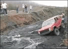 Collection of funny gif animations (53 gifs)