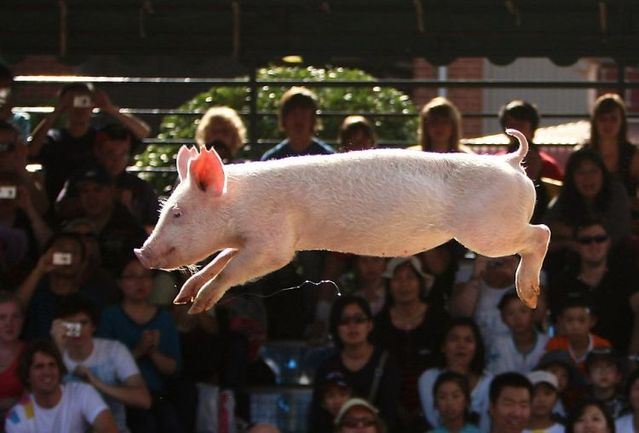 Daily picdump (119 pics)