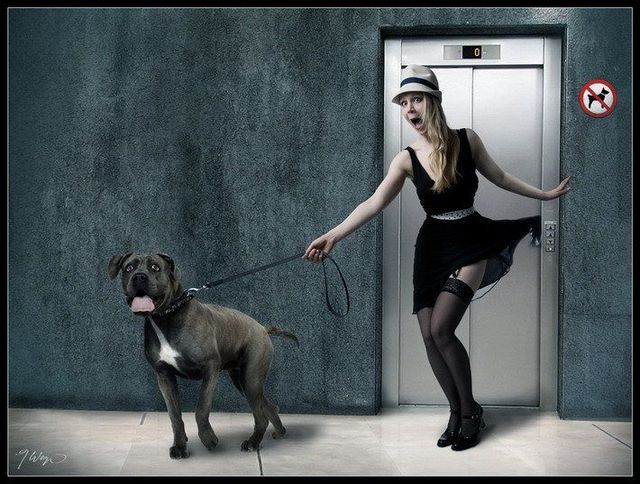 Daily picdump (119 pics)