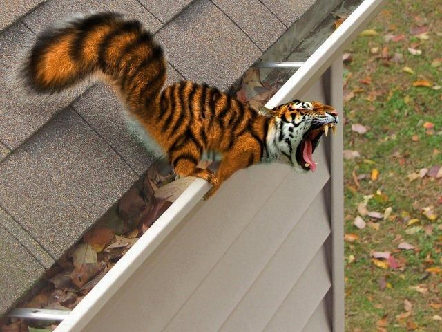 Daily picdump (119 pics)