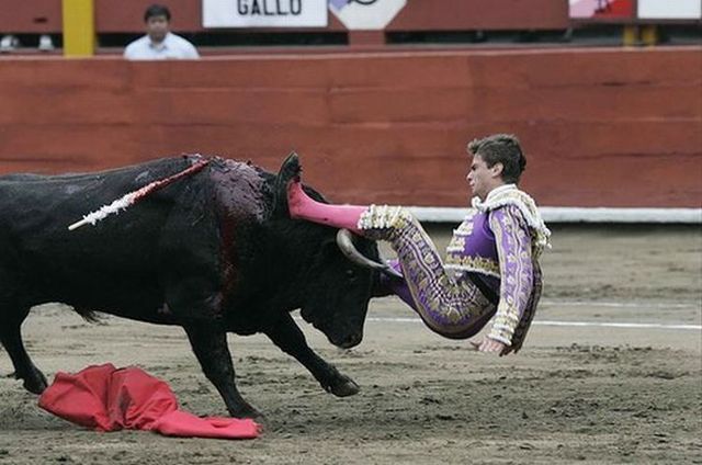 Bull's revenge (6 pics)