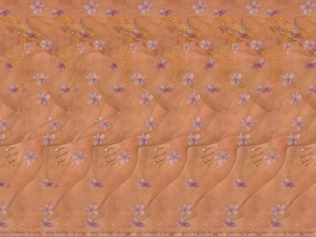 stereograms-to-see-hidden-3d-images-30-pics-izismile