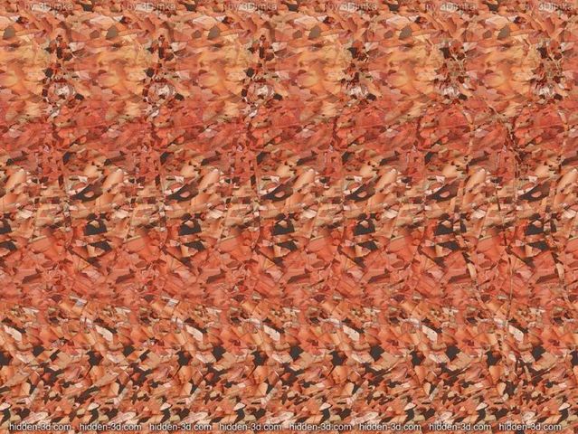 stereograms-to-see-hidden-3d-images-30-pics-izismile