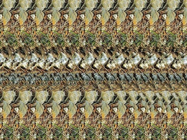 Stereograms To See Hidden 3D Images 30 Pics Izismile