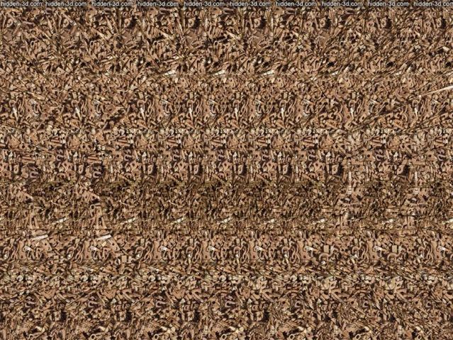 Adult Stereograms 5
