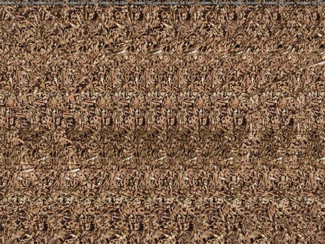 stereograms-to-see-hidden-3d-images-30-pics-izismile