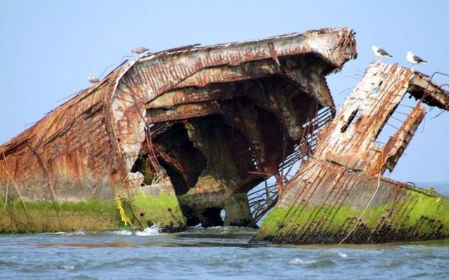 Boats made from concrete (13 pics)
