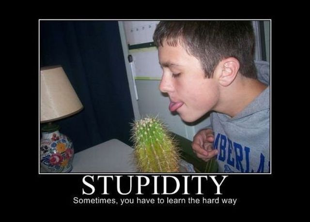 Some posters that will inspire you and make you smile (48 pics)