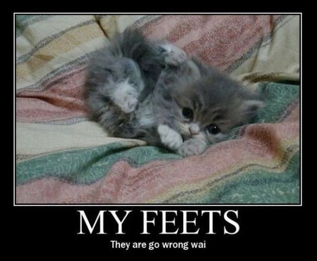 Some posters that will inspire you and make you smile (48 pics)