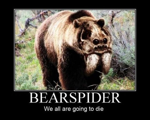 Some posters that will inspire you and make you smile (48 pics)