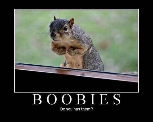 Some posters that will inspire you and make you smile (48 pics)