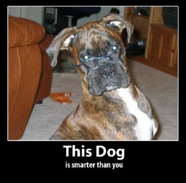 Some posters that will inspire you and make you smile (48 pics)