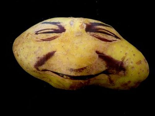 Potatoes can have faces (20 pics)