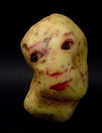 Potatoes can have faces (20 pics)