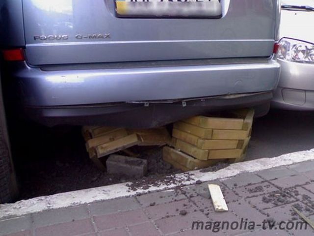 Another master of parking (7 pics)